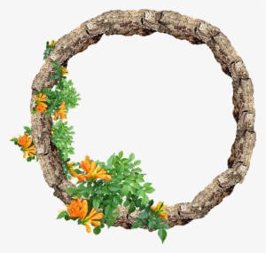 Frame, Border, Rustic, Floral, Pine - Rustic Border #2609302