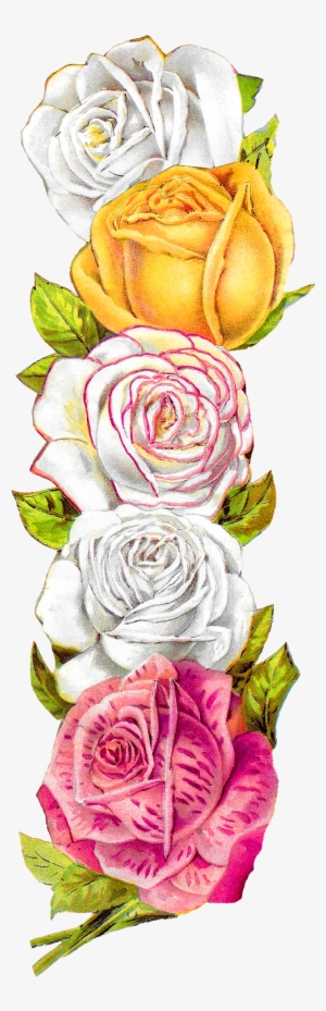 Posted On The Graphics Monarch, There Is A Pretty, - Graphics #2609833