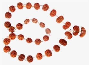 Sidha Mala Rudraksha Collection - Shaded Pole Motor Wiring Diagram #2609915