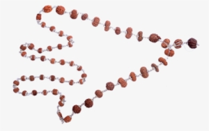 Multi Combination Multiple Purpose Rudraksha Mala 26 - Bead #2609975