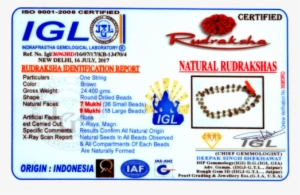 Rudraksha Mala Png #2610013