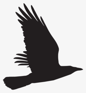 Buzzard #2610203