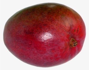 Mangifera Indica20100405 23 - Crimson Gold #2610958