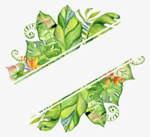 Pintado A Mano En Png Transparente Png Rendering Hojas - Hand Drawn Watercolor Tropical Frame #2611082