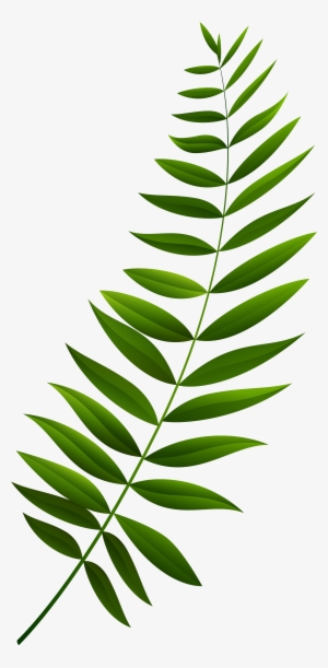 Green Branch Clipart #2611259