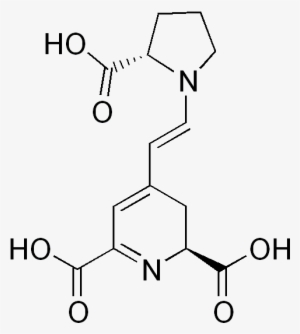 Indicaxanthin - Xanthurenic Acid #2611492