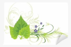 Birch Leaves, Flowers With Grass And Decorative Ornament - Leaves Of Grass #2611526