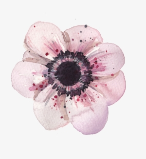 Poppies Vector Illustration - Energy Therapy #2611669