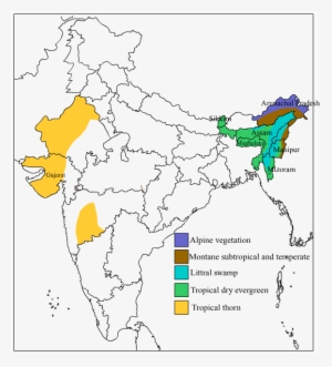 Expert Answer - > - Stock Illustration #2611941