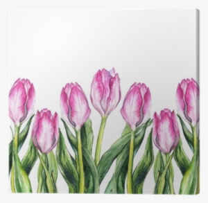 Watercolor Pink Tulip Flower Nature Border Frame Canvas - Watercolor Painting #2612385