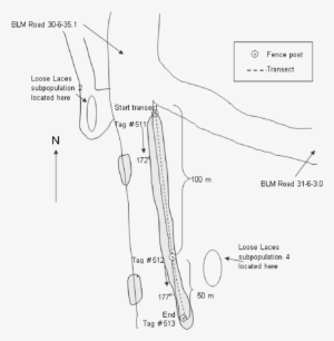 Approximate Subpopulation Border Is Shaded - Diagram #2612586