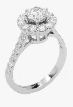 Alan P Fulton #2613151