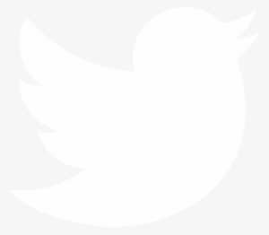 Twitter #2613194
