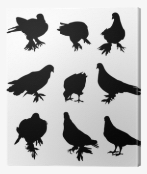 Vector Graphics #2613346