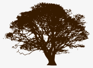 Brown Wedding Tree Clipart - Olive Tree Black And White #2613412