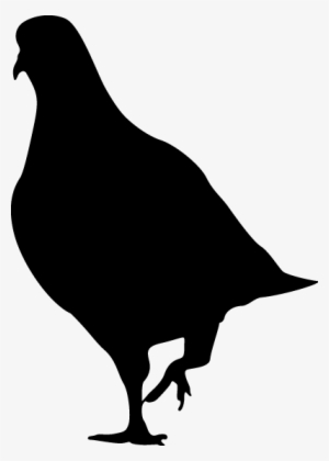 Swag Transparent Pigeon - Illustration #2613735