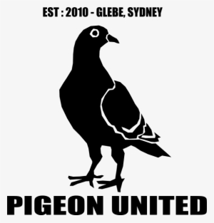 Pigeon Fc Clip Art - Pigeon Silhouette #2613861