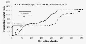 Cumulative Rainfall During The Experimental Period - Cassava+ Nutrient Uptake+ Growth Stage #2614358