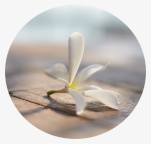 Hablis Hotel Chennai Chennai Hablis Hotel Luxury Hotel - Hablis Hotel #2615021