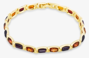 14 Carat Gold Bracelet With Light And Dark Amber - Womens Bristol Novelty Bracelet Gold Bangle Costume #2615410