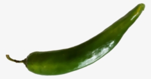 Bird's Eye Chili #2617976