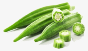 Lady Finger #2618007