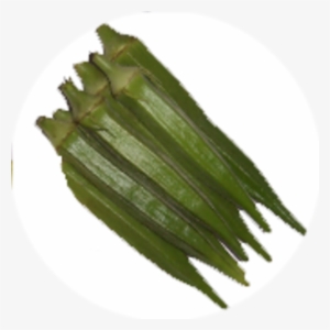 Bhindi Lady Finger - Jivkar Seeds Pvt. Ltd. #2618129
