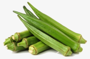 Ladyfinger - Okra #2618133