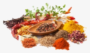 About Us - Ayurvedic Category #2618605