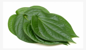 Betel - Betel Leaf Png #2619119