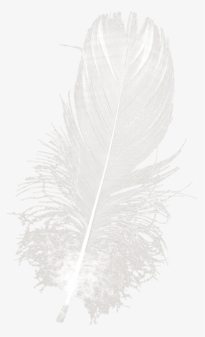 Thaliris Unepoesiededouceur El02 - Illustration #2619259