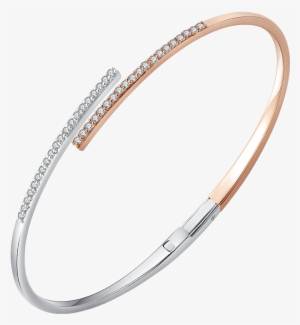 Bangles - Antonov An-124 Ruslan #2619411