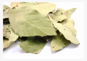 Plant Pathology #2619487