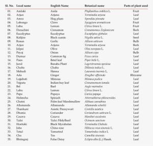 List Of Medicinal Plants Used To Evaluate Antibacterial - Medicinal Plants Name List #2619625