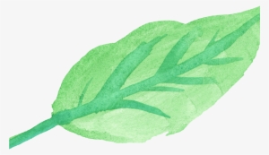 15 Watercolor Leaves Png For Free Download On Mbtskoudsalg - Watercolor Leaf Leaf Transparent #2619764