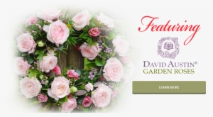 If You Want To Bring A Wow Factor To Your Next Event, #2620314