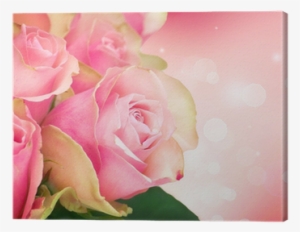 Rose Flower Art Design - Thursday Blessings Pink Roses #2620566