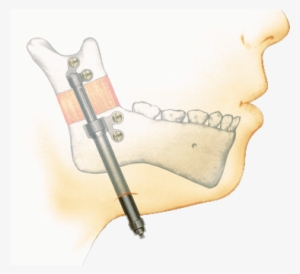 Choose - Pediatrics #2620596