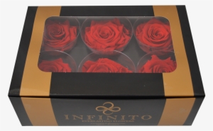 Six Red Roses Box - Garden Roses #2620688