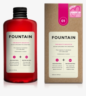 Look Good Molecule - Fountain - The Beauty Molecule (240ml) #2621004