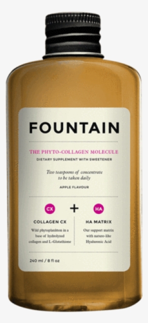 Fountain Beauty Supplements The Phyto-collagen Molecule - Fountain - The Phyto Collagen Molecule (240ml) #2621051