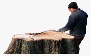 Arts And Crafts - Tree Stump #2621643