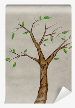 Stem Decoration Sketch Tree Watercolor Wall Mural • - Drawing #2621931