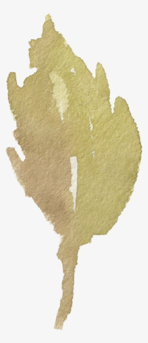 Watercolour - Maidenhair Tree #2621969