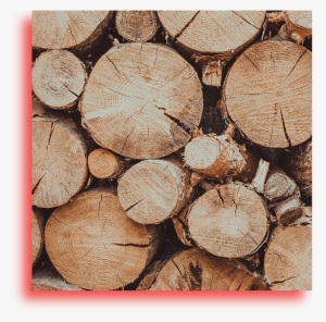 Firewood #2622033