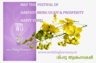Vishu Wishes - - Vishu Festival #2622305