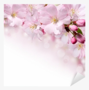 Spring Flowers Design Border Background Sticker • Pixers® - Flower #2623122
