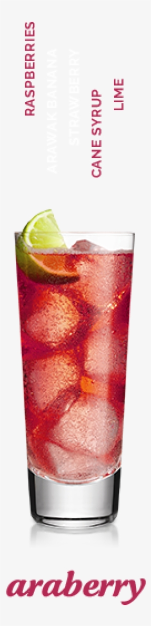 Arawak Cocktail Araberry - Juice Glass #2623691