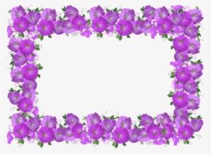Frame, Border, Petunia, Floral Decoration - Nimepäev Anne #2623759