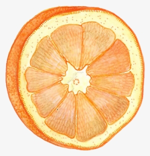 In The End, There Was Too Much To Fit Into The Car, - Tangelo #2623795